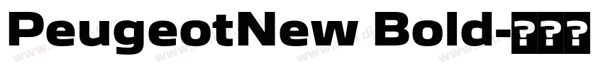 PeugeotNew Bold字体转换
